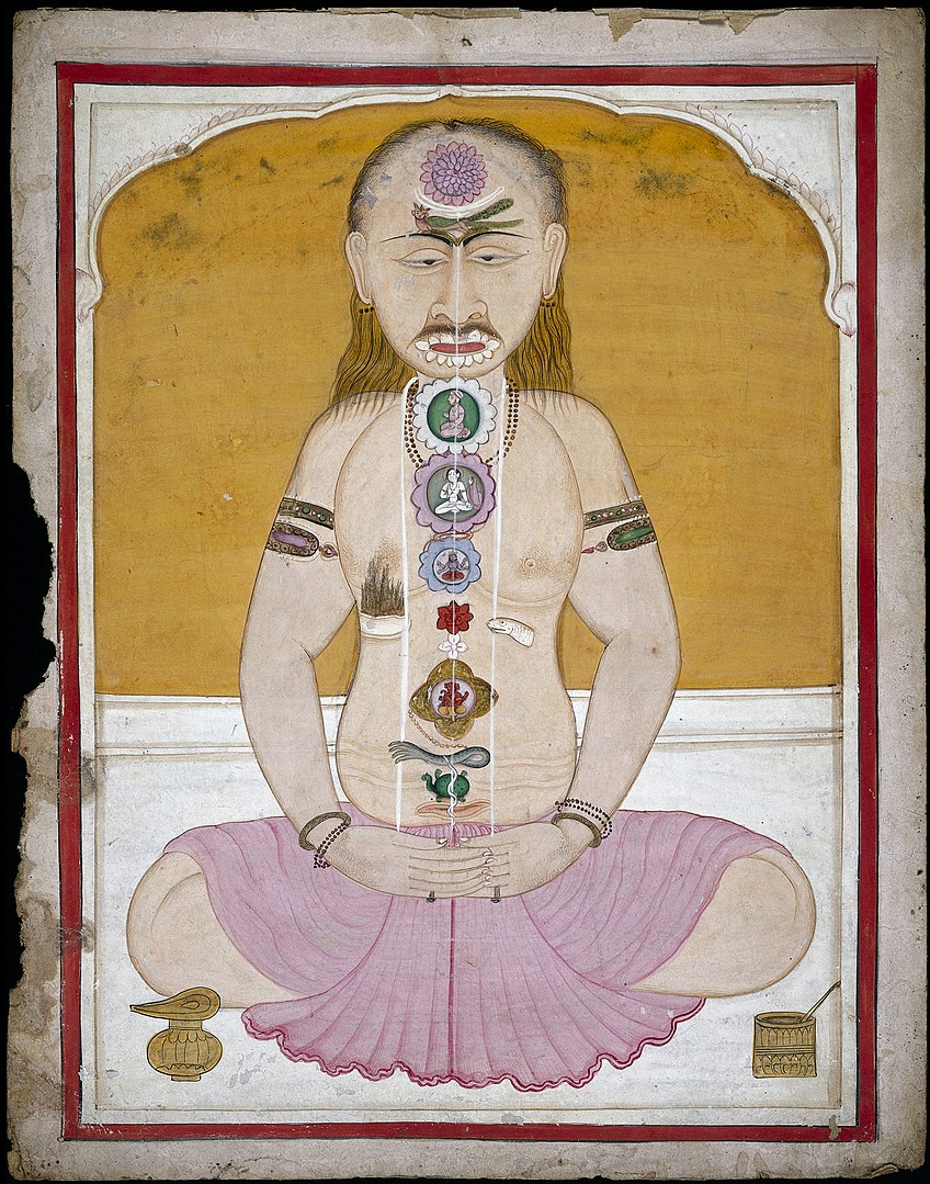 848px-Oriental_MS_Indic_beta_511_Wellcome_L0029118