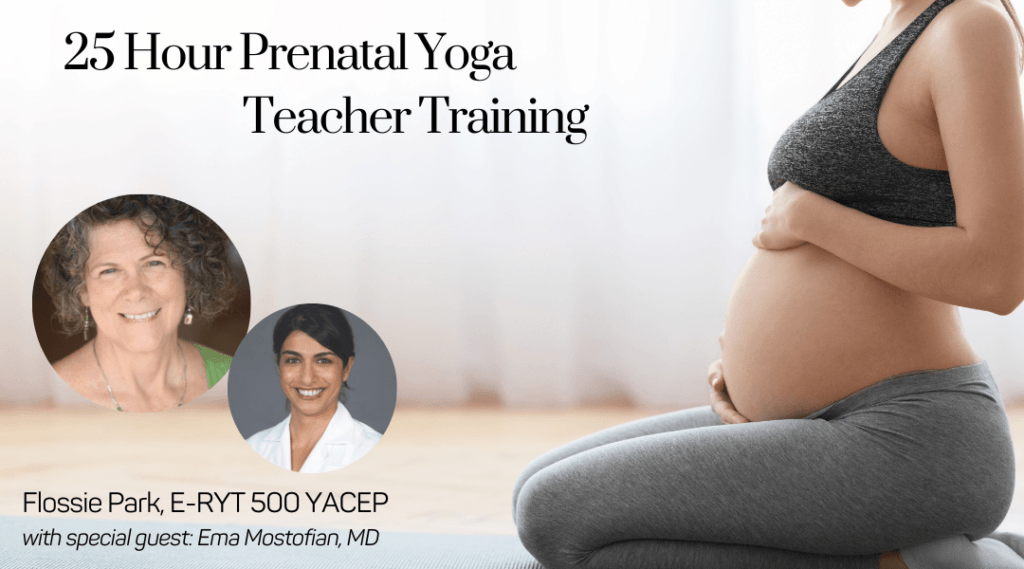 Prenatal Yoga Training