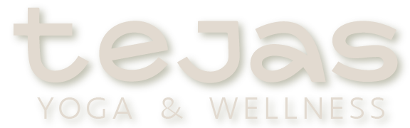 Tejas Logo Tan Shodow x2