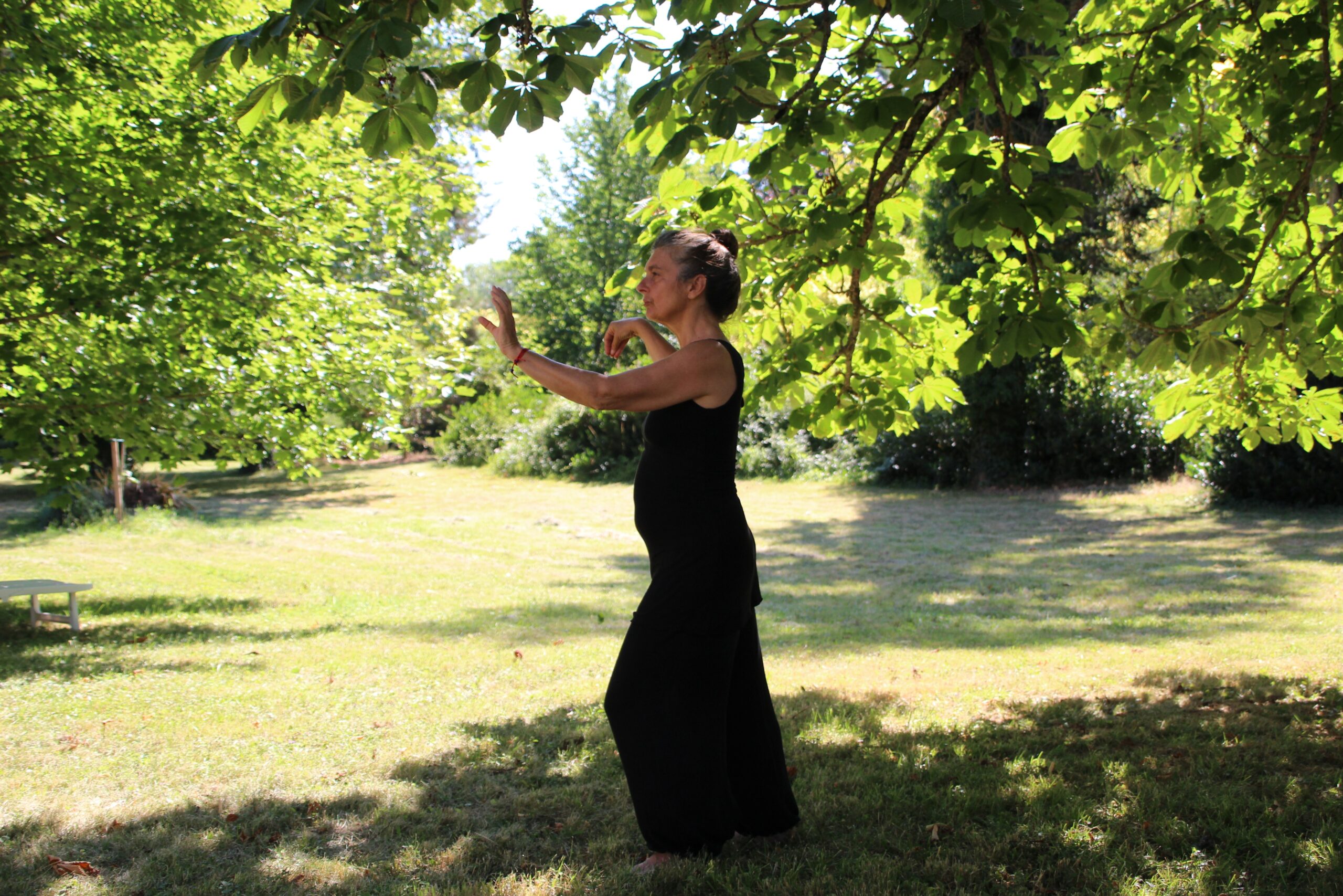 Tai Chi Tejas Yoga Tai Chi Tejas